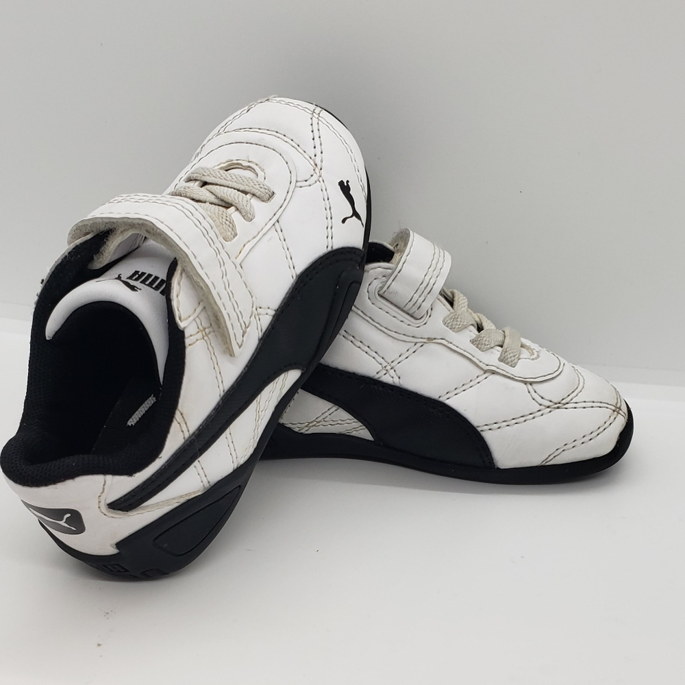 Pumas - Picture 6 of 9